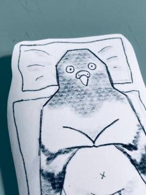 Pigeon with sleeping problems