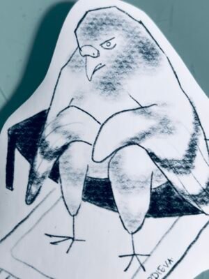 Pigeon with big problem