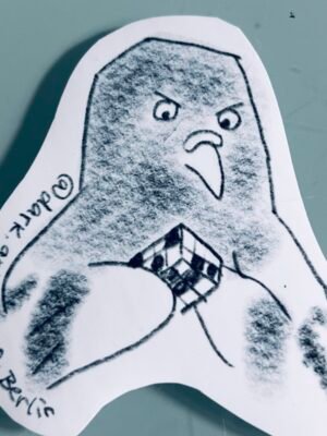 Pigeon with Rubiks Cube Problem