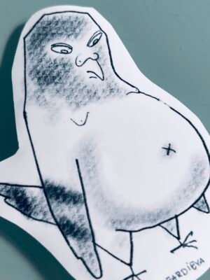 Pigeon with big belly problem