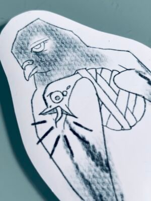 Pigeon with baby problem