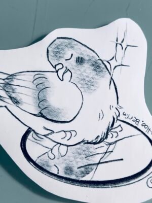 Pigeon feeling pretty no problem