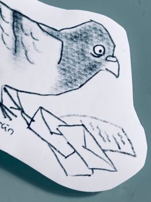 Pigeon with bureaucracy problem