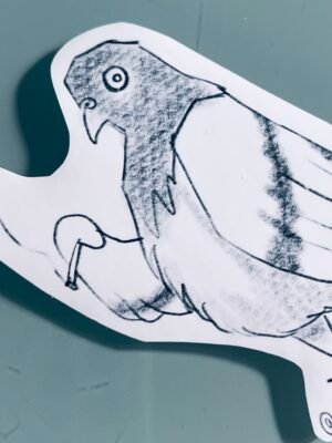 Pigeon with smoking problem