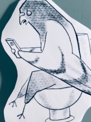 Pigeon with toilet problem